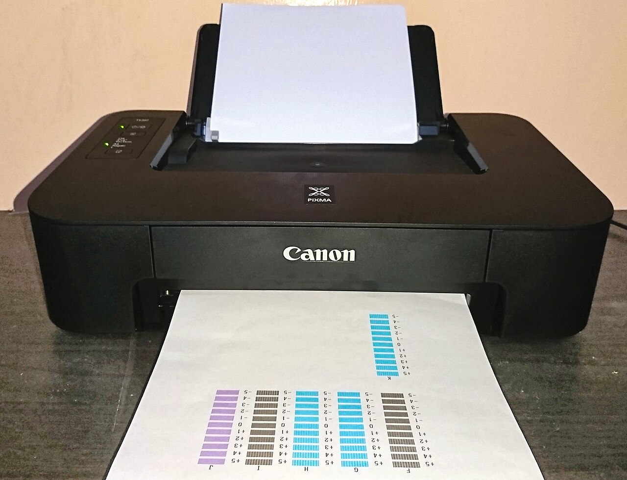 Canon PIXMA TS207 printer